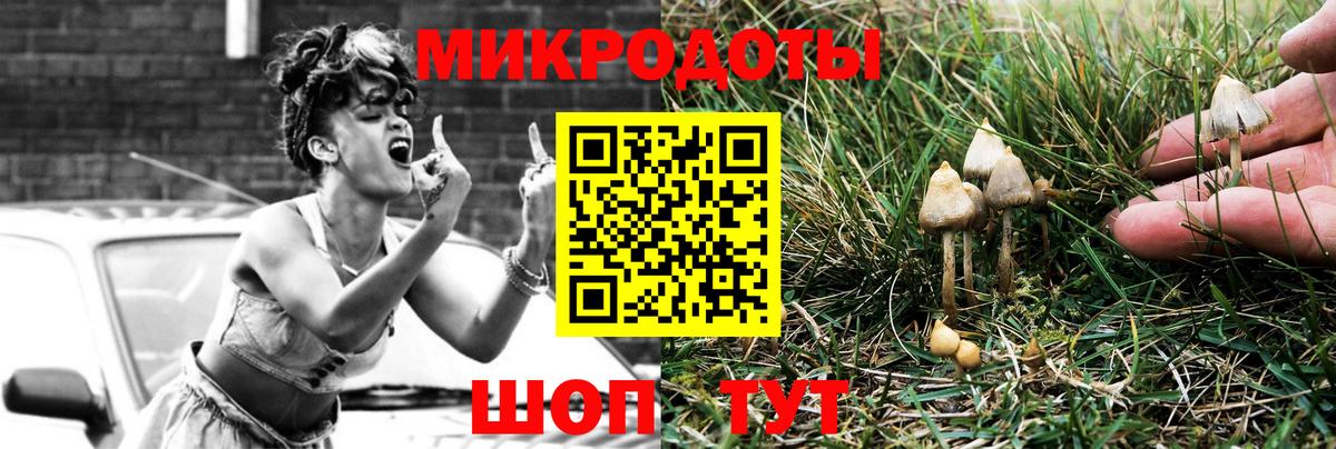 Мценск  Псилоцибиновые грибы Psilocybine cubensis  Вход с VPN  Галлюциногенные грибы ЛСД 